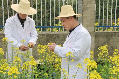 研發(fā)團(tuán)隊